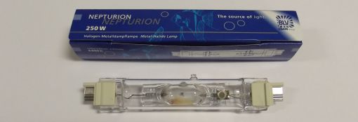 BLV Fc2 Lamp Pic